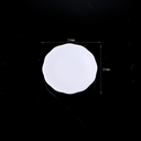 4458DDC6-2946-496C-90FD-7DED63F9E094.webp